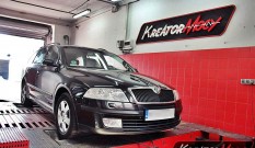 Skoda Octavia II 1.9 TDI 105 KM – podniesienie mocy