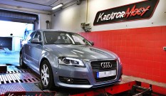 Audi A3 8P 1.6 TDI CR 105 KM – modyfikacja mocy