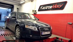 Audi A4 B7 1.9 TDI 115 KM – podniesienie mocy