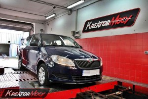 Skoda Fabia II 1.6 TDI 75 KM