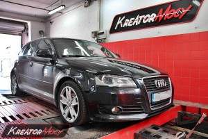 Chip tuning Audi A3 8P 1.6 TDI 105 KM