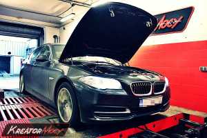 Chip tuning BMW 5 F10 530d 258 KM