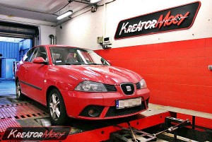 Chip tuning Seat Ibiza 6L 1.9 TDI 100 KM