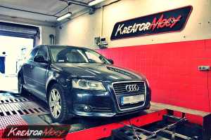 Chip tuning Audi A3 8P 1.8 TFSI 160 KM