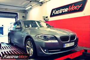 Chip tuning BMW 5 F11 520d 163 KM