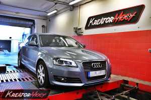 Chip tuning Audi A3 8P 1.6 TDI CR 105 KM