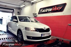 Podniesienie mocy w Skoda Rapid 1.2 TSI 110 KM (CJZD)