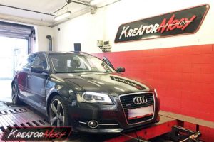 Tuning Audi A3 8P 2.0 TDI CR 170 KM CFGB